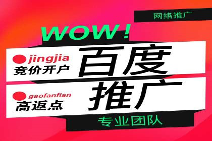 竞价排名成功案例分享