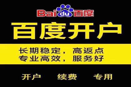 某电商平台SEM竞价广告的转化率提升案例